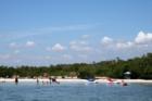 Dog Beach!
