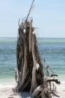 Lovers Key State Park @ New Pass