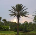 Ar119043804767749_l