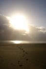 Follow me to paradise on the Pacific!  Ocean Shores, WA.