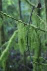 The Weatherwax property.  Wander through the trails and feel your stress slip away!