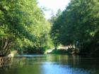 23 miles of interconnecting canals hook up to Duck Lake.  Endless boating throughout the peninsula!  