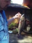 Lunker Bass out of Duck Lake.