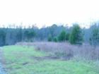 The Cul de Sac, at the end of Belfonte Road, North East Creek Estates