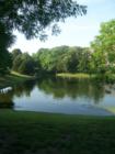 Shoal Creek, Plano home for sale, GREAT area to live central location. Visit our webisite http://www.lynn911.com for additional pictures we have a listing $429,999 you can walk to jogging trail, gazebo community pool WOW. Plano ISD , Plano home for sale