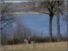 We specialize in Dallas homes for sale with views of the water front. View our website Dallas MLS with over 60,000 Dallas homes for sale, 500 Dallas foreclosure some with golf course views. http://www.lynn911.com 