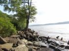 Norrie Point Pinic area with view of Hudson River