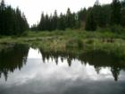 Beaver Pond