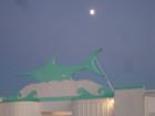 Swordfish Club & Moon - Dune Road - Westhampton Beach, NY