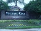Mallard Cove