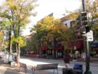 Charming sidewalk cafes adorn the streets of downtown Madison, Wisconsin