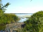 An Inlet at the Waterfront Trail