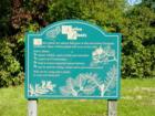 Bringing Native Plants Back to the Bay of Quinte Shoreline in Belleville along the Waterfront Trail