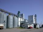 Clear Lake grain elevator and farm supply store