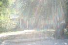 Ar119065068675005_l