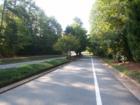 Main road-Lochmere Drive - through Lochmere w/gorgeous trees!