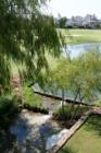 The Greens of Gleneagles, Plano Texas - Flowing creeks with lots of lush trees... Photography by Precious Memories - For more information on this community contact Christy Singleton at 214-770-5660