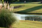 Enjoy a peaceful afternoon at the pond and hang out with the ducks!! - Photography by Precious Memories - For more information on this community contact Christy Singleton at 214-770-5660