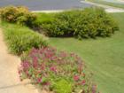 Young Deer Harbour, Cumming, Ga. Teresa Johnson at REMAX Greater Atlanta. 770-888-0021; www.AtlantaHomeStore.com