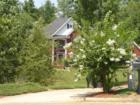 Young Deer Harbour, Cumming, Ga. Teresa Johnson at REMAX Greater Atlanta. 770-888-0021; www.AtlantaHomeStore.com