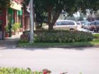 Downtown Foley, where you can always find beautiful landscaping and flowers