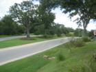 Spanish Oaks - SW Austin
