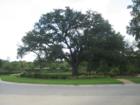 Spanish Oaks - Sw Austin, TX