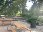 Barton Springs and Zilker Park