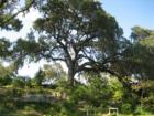 Zilker Park