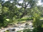 Zilker Park