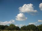 Zilker Park