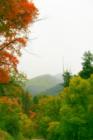 September Millcreek Canyon