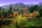 Fall Millcreek Canyon road.