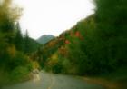 The road Millcreek Canyon