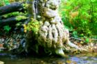 Tree knome of Millcreek canyon.