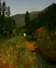Fall Millcreek Canyon road.
