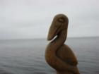 Strange, unusual bird-like object photographed at Choctawhatchee Bay, Santa Rosa Beach, Florida.  
