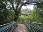 Hike and Bike Trail