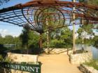 Lou Neff Point - Town Lake