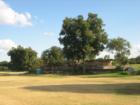 Zilker Park