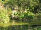 Austin Nature Center