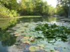 Austin Nature Center