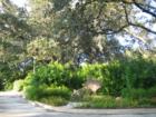 Zilker Botanical Garden - Barton Springs Road