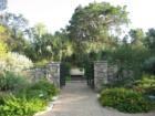Zilker Botanical Garden - Barton Springs Road