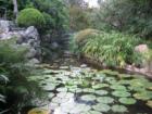 Zilker Botanical Garden - Barton Springs Road