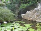 Zilker Botanical Garden - Barton Springs Road