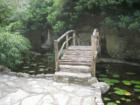 Zilker Botanical Garden - Barton Springs Road