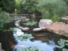 Zilker Botanical Garden - Barton Springs Road