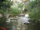 Zilker Botanical Garden - Barton Springs Road