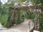 Zilker Botanical Garden - Barton Springs Road
